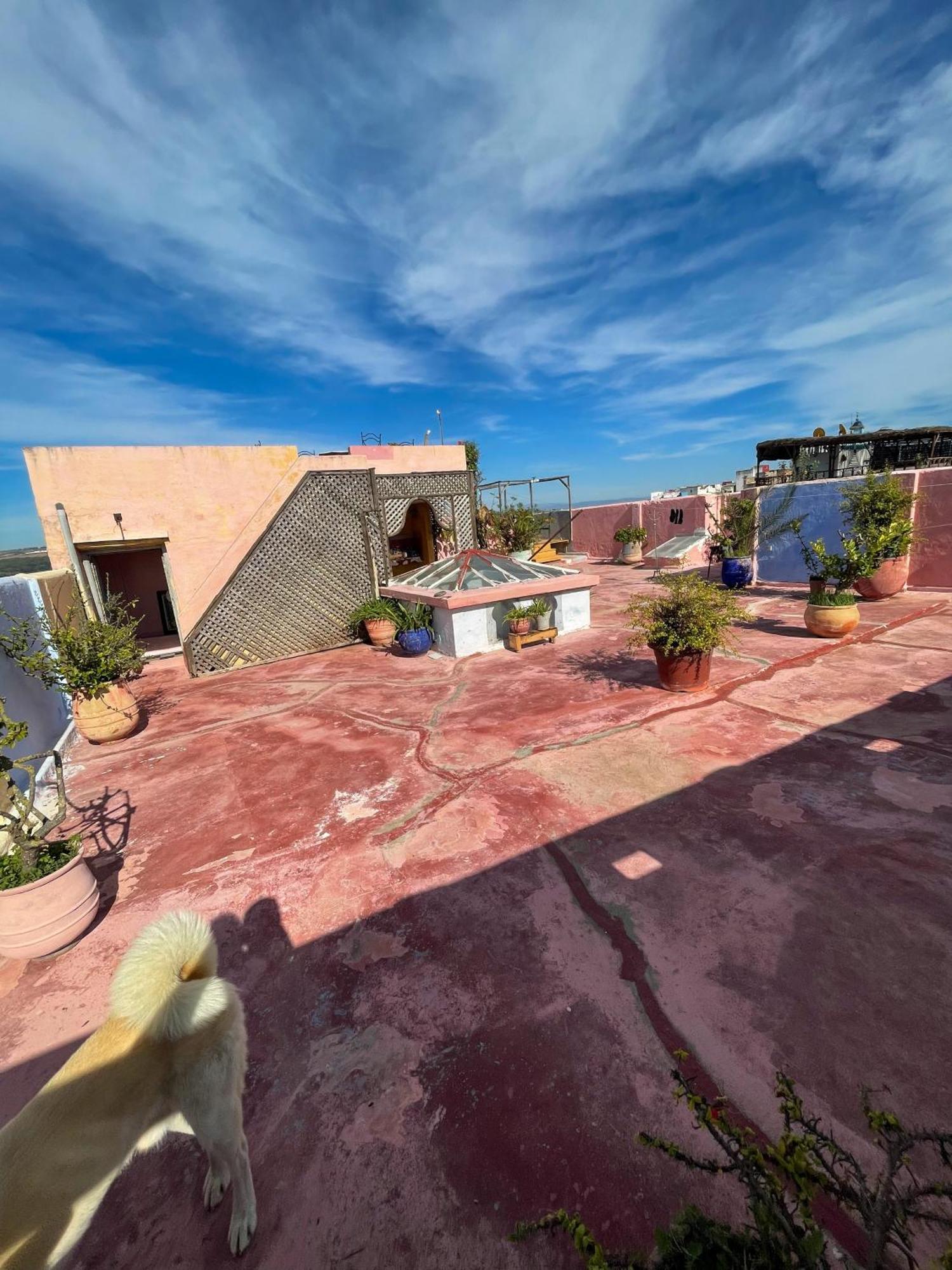 La Maison Haute Larache Morocco Exteriör bild